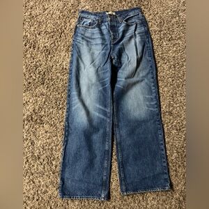 Madewell Low Slung Baggy Jeans Moffat Wash Sz 26